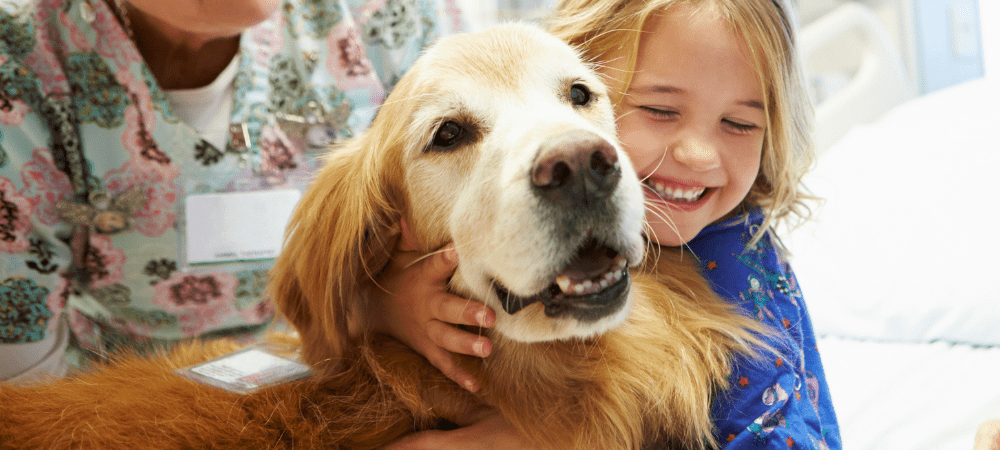 Service therapy dog with child at hospital