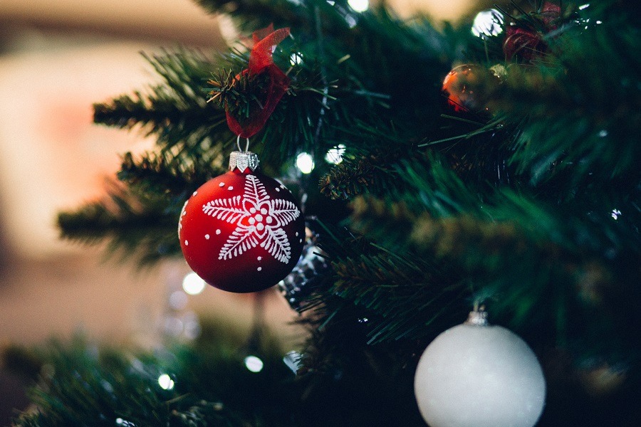 Christmas ornament in tree