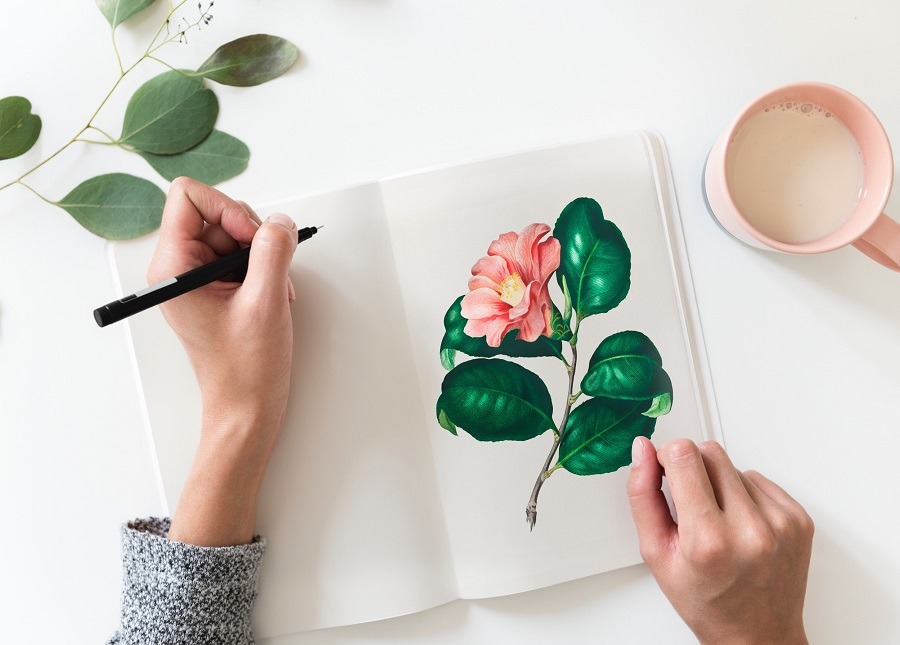 Women drawing in notebook