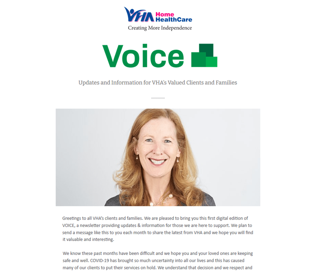 Screenshot of the first Voice Digital Newsletter