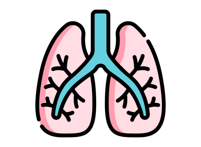 A cartoon drawing of lungs