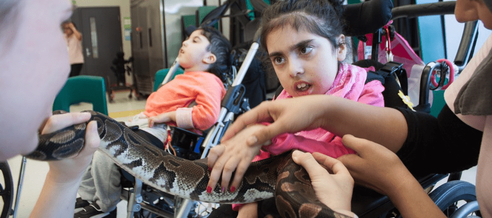 A VHA client pets a snake during a Playdate session