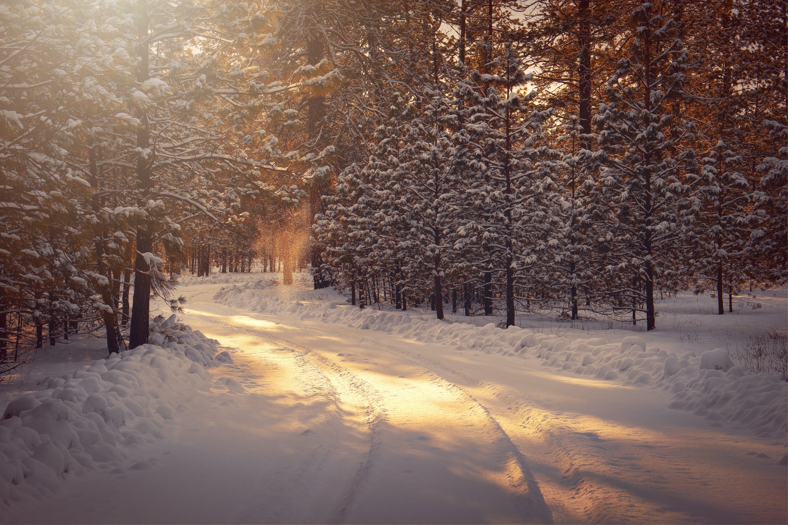 Featured image for “Combating Winter Depression or Seasonal Affective Disorder”
