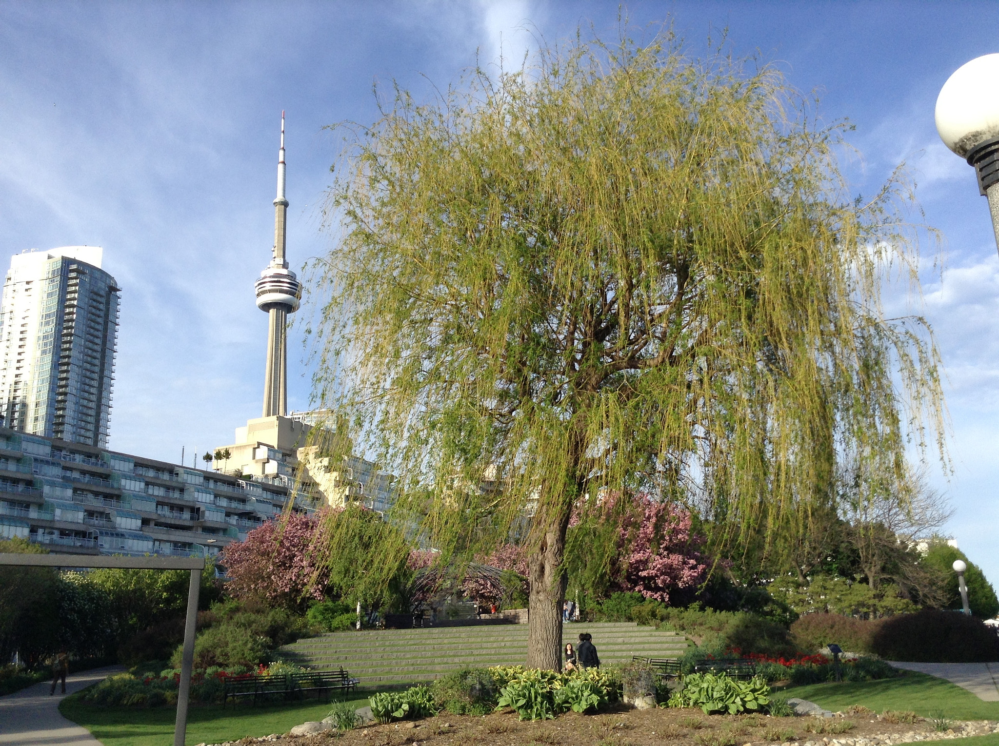 Toronto Music Garden